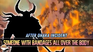 Who is “Someone With Bandages All Over the Body” in Chapter 1066? EXPLAINED