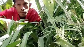 Penampakan bidadari mandi dihutan 😂😂
