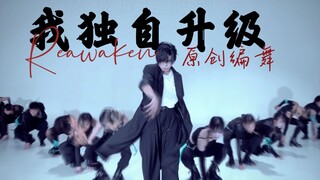我 独自 升级