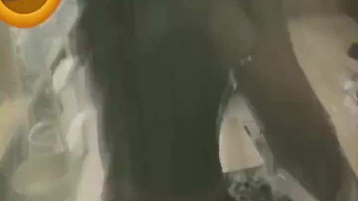 Seni Mencapai Puncaknya di Sini