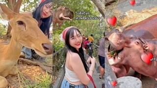 หมูเด้งงงงง!!! พรี๊มาแล้วน้อลลลล ว่าแต่โตไวเหมือนกันแฮะ😅