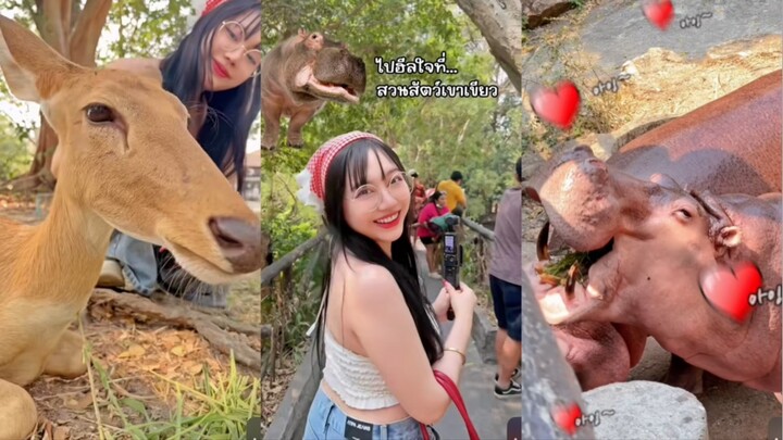 หมูเด้งงงงง!!! พรี๊มาแล้วน้อลลลล ว่าแต่โตไวเหมือนกันแฮะ😅