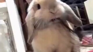 好像哪里不对~