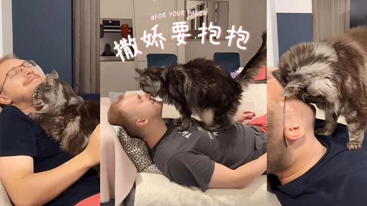 Kucing Maxie yang sangat suka manja 💕