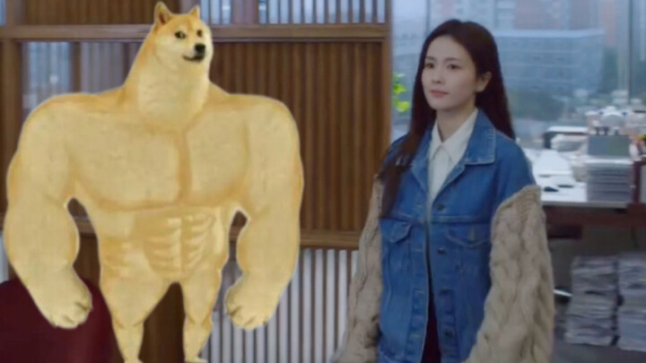 Who can still tell Bai Lu apart from the muscular Xiaochai?
