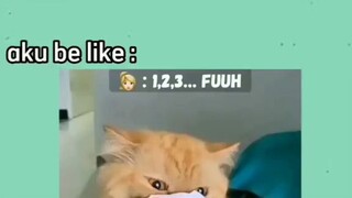 lg sakit flu 😅