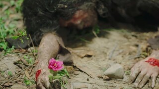 Romance lasts till death. He is like this, but he still chooses flowers over cakes. I am really cryi