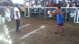 passtis kill white Kelso kapatid dinto ...