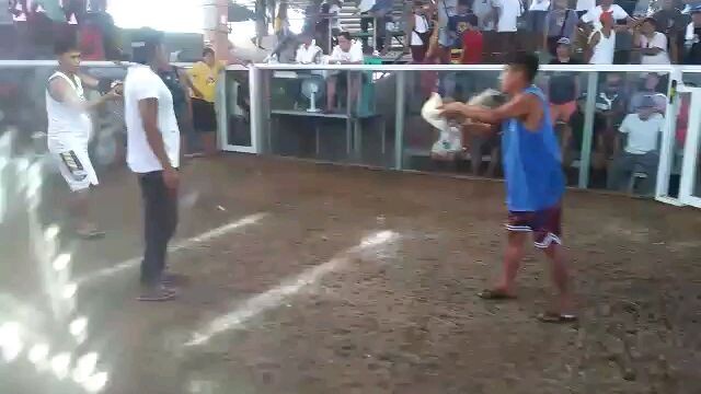 passtis kill white Kelso kapatid dinto ...