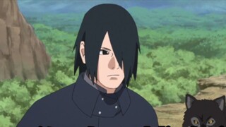 Boruto Chapter 274: The predecessor retires, Sasuke and Boruto are looking for the legendary Thousan