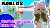 Roblox : Wondering to Buy New Pet in (fake) Pet Simulator