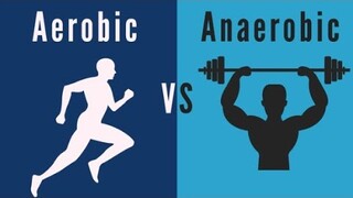 AEROBIC AND ANAEROBIC EXERCISE TUTORIAL