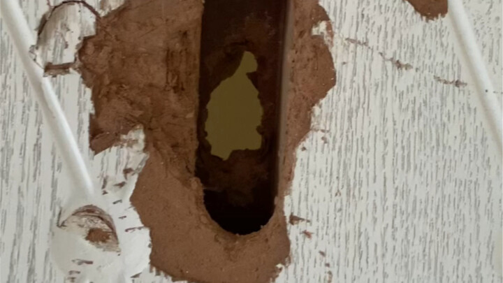 هل يمكنكم عدم ضرب الباب أثناء الشجار؟