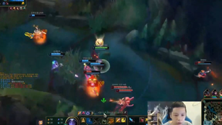 NỮ THỢ SĂN NIDALEE VÁC LAO ĐI SĂN LOÀI SÓI LAI KINDRED Ở RỪNG RẬM HÀN QUỐC