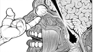 [Bauga Sumo Road] นัดแรกระหว่างชิบุคาวะกับวาฬยักษ์ตัดสินแล้วเจ็บมาก
