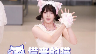 The potato cat borrowed from mashed potatoes, "Do the Dance," won first place.