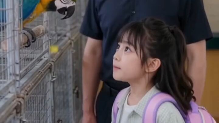 tagalog Chinese drama