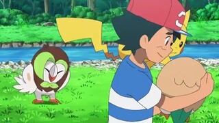 Pokemon Sun & Moon - 97