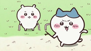 Chiikawa เวอร์ชั่นภาษาถิ่นต้าเหลียน ตอนที่ 30 กระเป๋าของคุณสะอาดกว่าใบหน้า