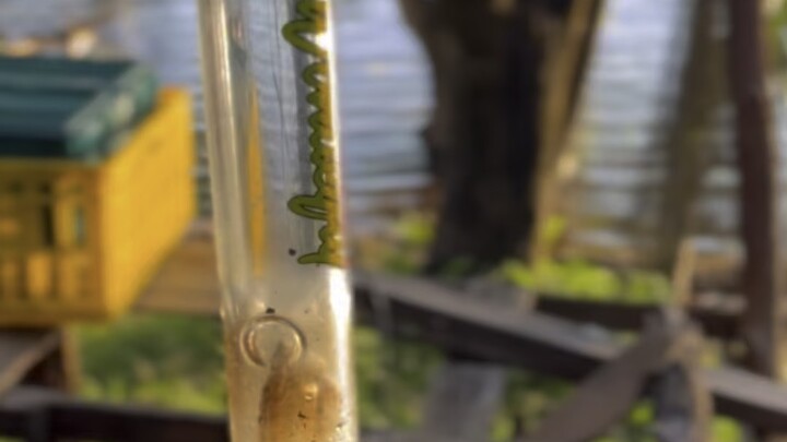 คำว่าบ้านคือมันชิวสุดแล้ว