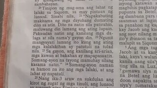 Pang Araw Araw na Talata.                                   Genesis 34:25-29