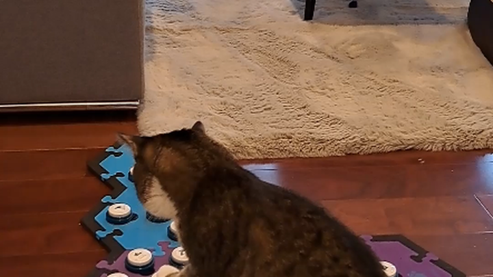 想让你们跟我一块被吵的脑袋疼