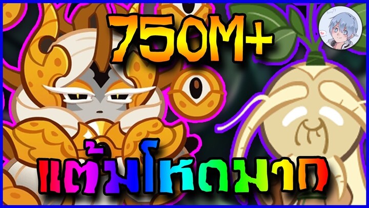 เซ็ตลำไยที่โหดที่สุดในตอนนี้ แต้มบ้าไปแล้ววว!! 750M+ | Cookierun Ovenbreak