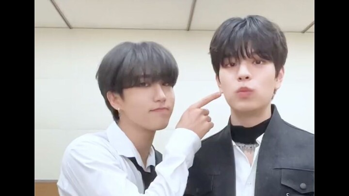 [Stray Kids] Japan’s First Platinum Anniversary | TikTok Update