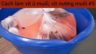 Cách làm vịt ủ muối , vịt nướng muối #5