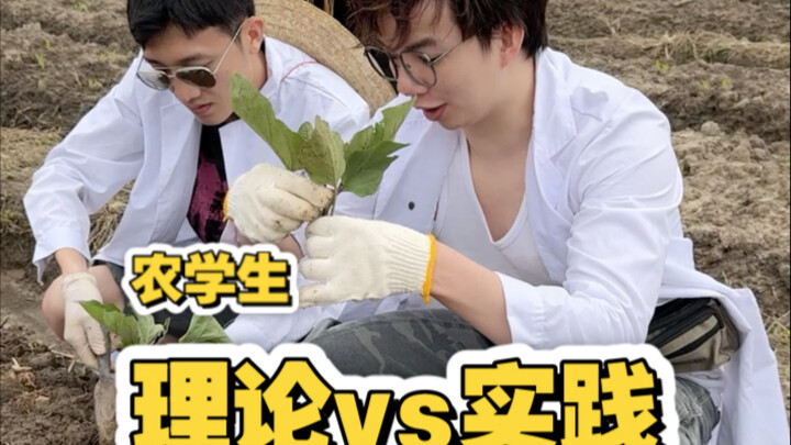 การเผชิญหน้าครั้งยิ่งใหญ่ที่สุดระหว่างนักวิชาการและผู้ปฏิบัติ