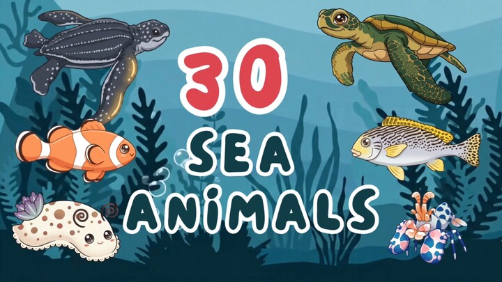 30 Sea Animals for Kids 🐳🌊 | Learn Amazing Ocean Animals & Their Names!