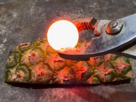 【Yaspe】Seberapa Besar Manfaat Nanas?