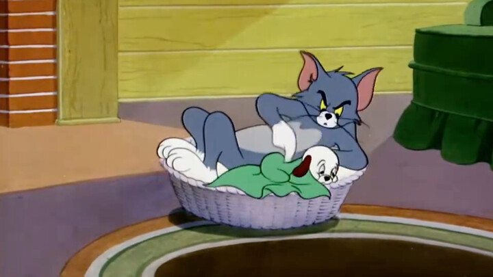 Tom tỉnh dậy thì phát hiện trong tổ có một chú cún con haha