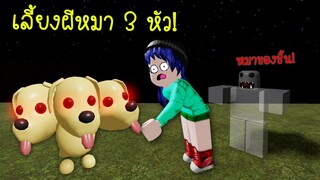 จากหมาหัวเดียว..กลายเป็นผีหมาสามหัว และเราต้องเลี้ยงมัน! | Roblox Adopt Me Dog Halloween