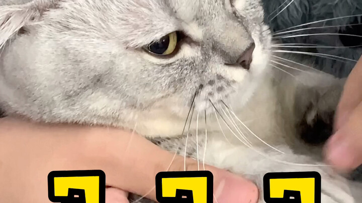 Tức chết mất! Trong nhà này còn chỗ cho tôi ở nữa không??