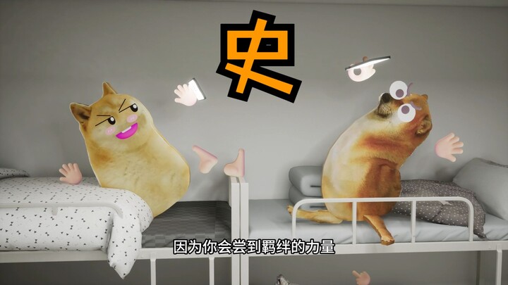 宿舍暴躁熬夜哥
