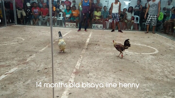 First win of our Bisaya Line Henny