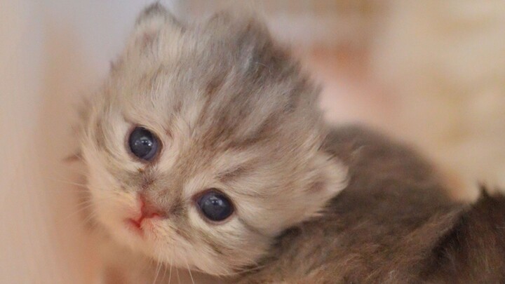 How powerful are mom's genes? She gave birth to... herself!