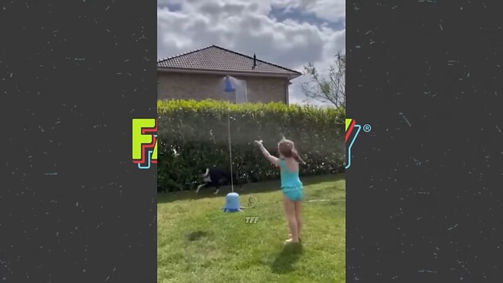 funny video part 1