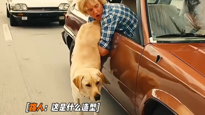 Chó thực ra rất đơn giản, chỉ cần bạn trao trái tim cho nó, tự nhiên nó sẽ trao cả bản thân mình cho