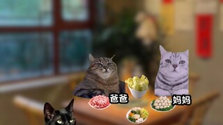 《织梦滚烫》 #猫meme剧场 #猫meme故事 #猫meme