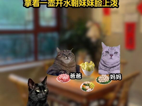 《织梦滚烫》 #猫meme剧场 #猫meme故事 #猫meme