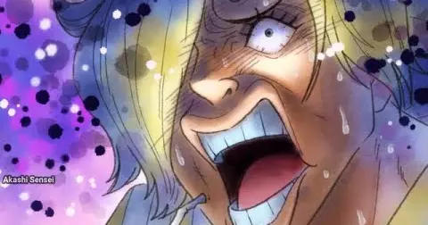 Sanji Sees Zoro Hiyori Together One Piece Ep 943 Sub Bilibili