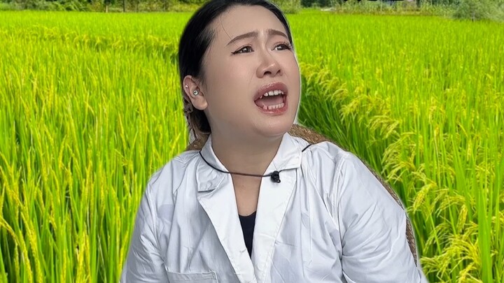 Đã đến lúc hiện thực hóa giấc mơ tiến sĩ chưa?