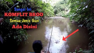 ENAKNYA MANCING IKAN DI SUNGAI INI || SEMUA JENIS IKAN ADA BROO!!