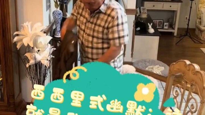 อารมณ์ขันสไตล์ซิซิลี: นี่แหละชีวิตคู่ของเรา ทั้งจริงใจและติดหนึบ!