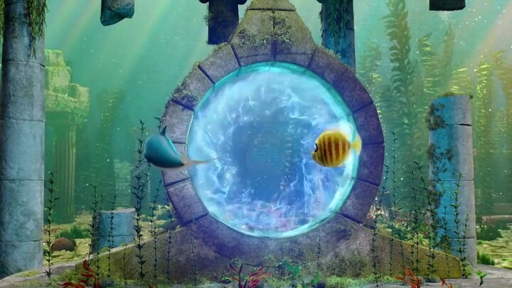 Magic Arch Movie