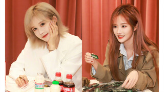 [شوي شوان] من يفهم هذا؟ لقد تعلقت به، آه آه آه