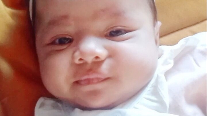 video lucu