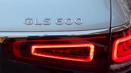 Adults’ Rocking Car